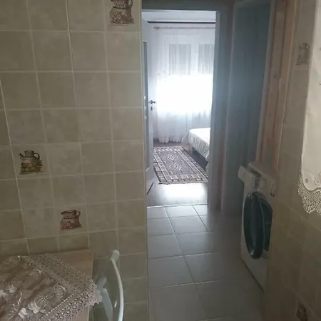 Nico's Apartament Брашов