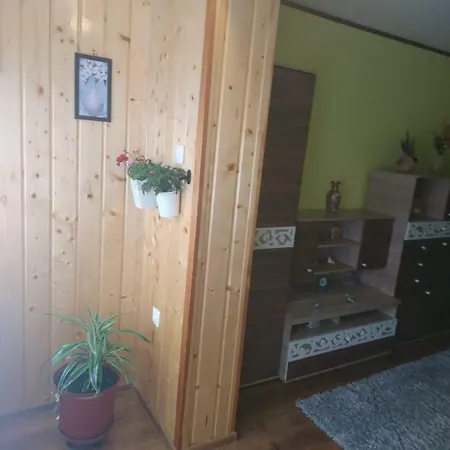 Nico's Apartament Брашов